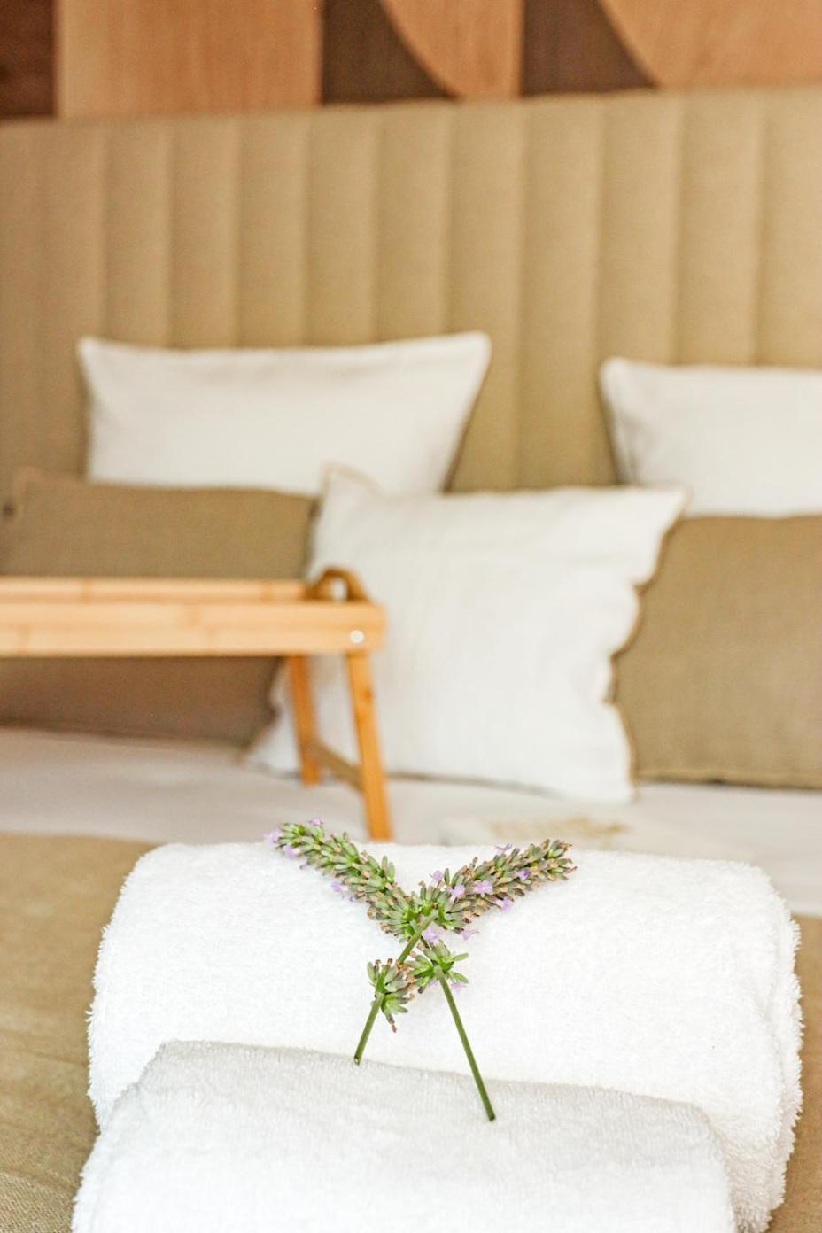 Les Gites De Laure - L'Eden Romantique, Chambres Hotes, Spa Prive, Couloir De Nage, Adults Only Malves-en-Minervois Exterior foto